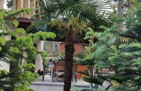 Apartament Nad Jeziorem Brenno - Foto 25