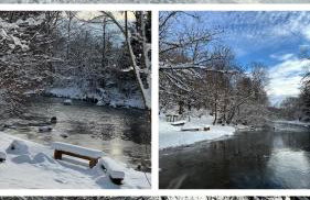 Bieszczady Beztroska Chata - Foto 30