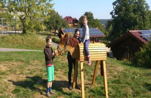 Ferienhof Pfeiffer - Foto 28