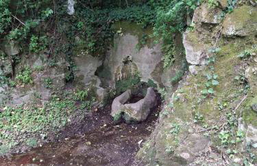 Antoneiko house - Foto 12