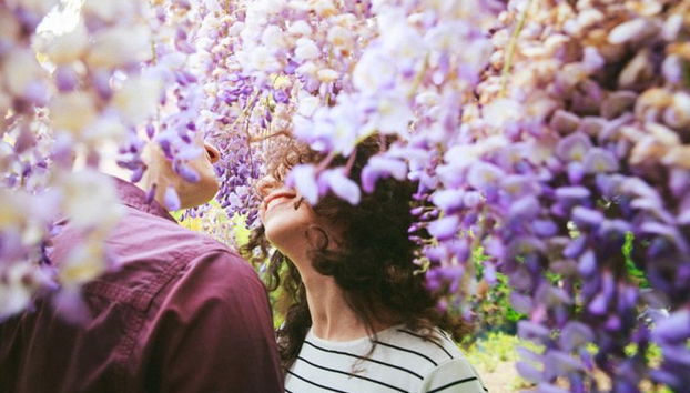 Tour personale di viaggi e fotografi a Berlino - Foto 3