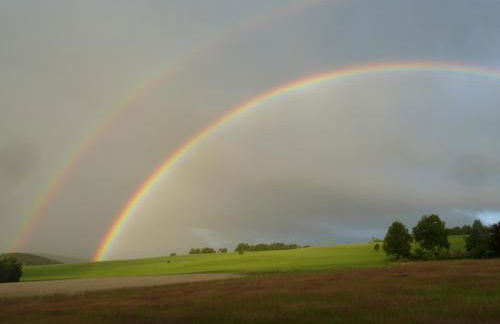 Ferienhaus mit Kamin , Terrasse und Aussensauna - Foto 40