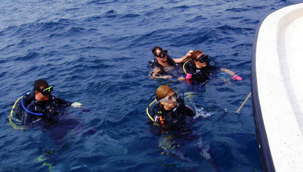 Panama City Scuba Diving - Foto 2