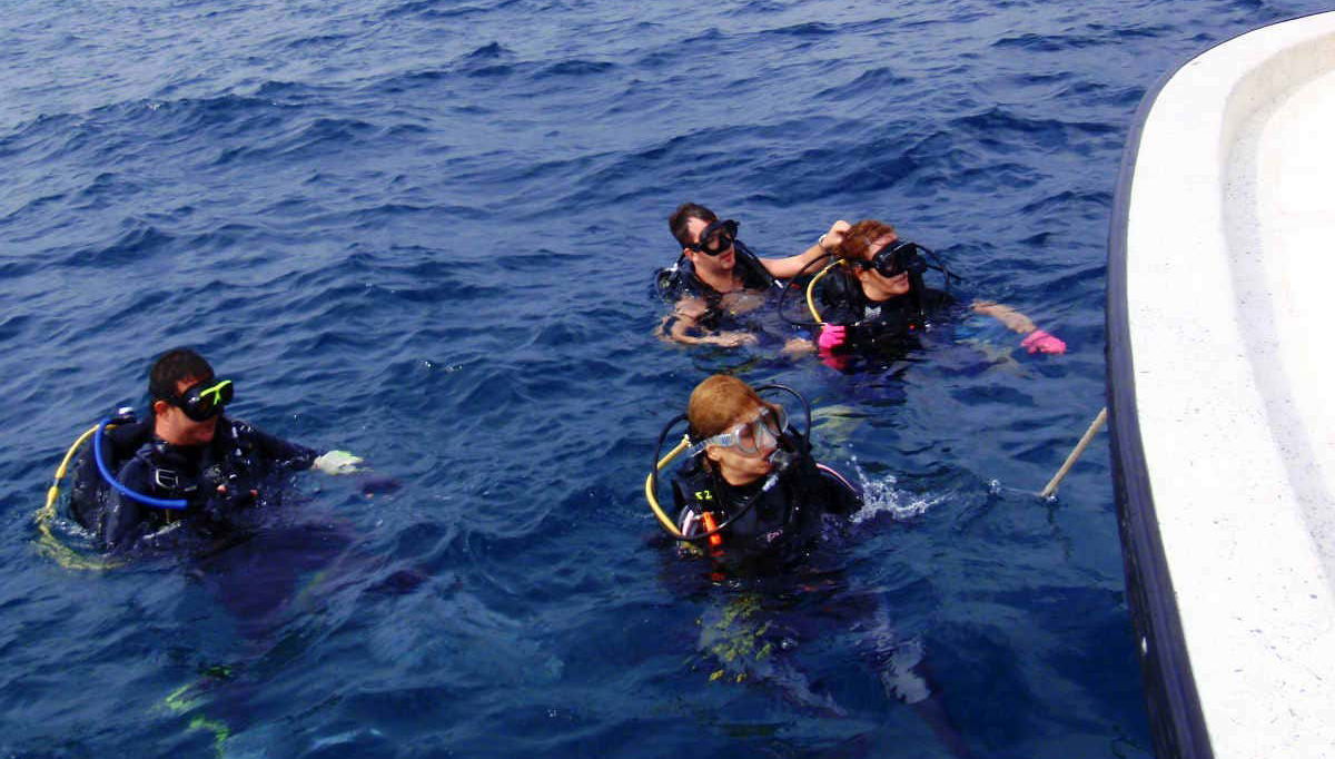 Après être remontés à la surface
