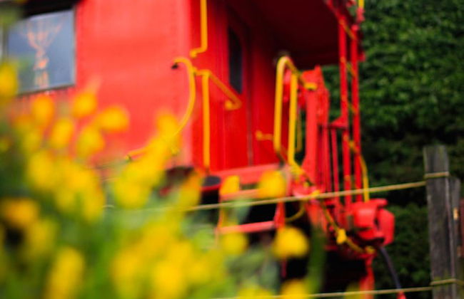 Los Vagones Cabañas Restaurante Bar - Photo 75