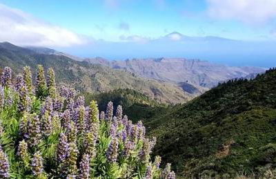 Casa Maria - Foto 42