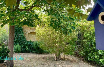 Calanca blu : grand appartement - Foto 27