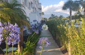 Kentia golf Playa Granada - Foto 13