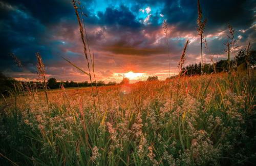 Traumfabrik Eifel mit Sauna & Whirlpool - Foto 26