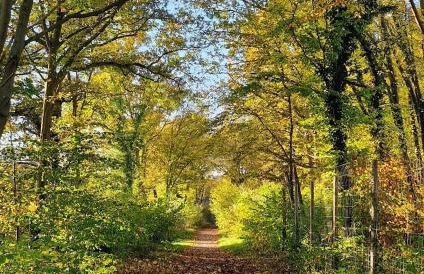 Le Birdie - Maison & Jardin à proximité de Chantilly - Foto 28