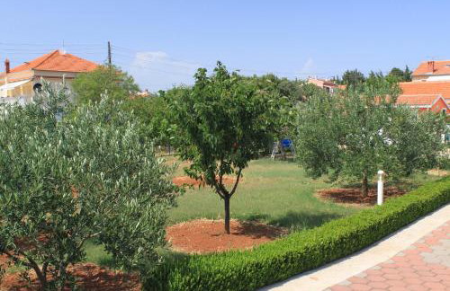 Studio Susica 8265a - Foto 5