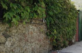 Amelie House - Foto 28