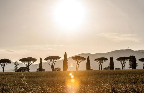 REFUGIUM CountryHouse - Foto 11