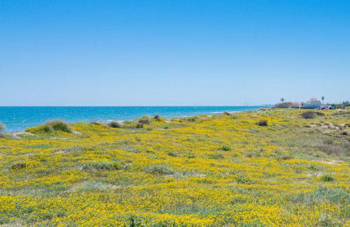 Salamar Saler Golf - Photo 38