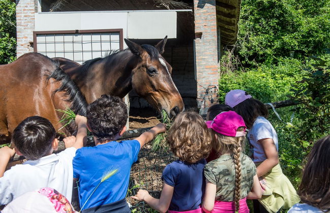 La Cartiera dei Benandanti - Foto 34