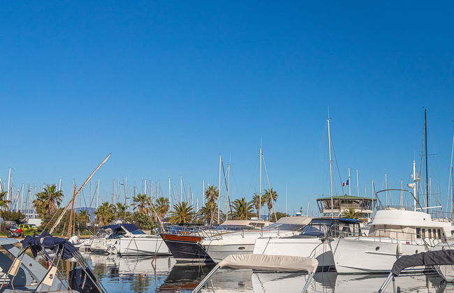 Mont des Oiseaux - Foto 49