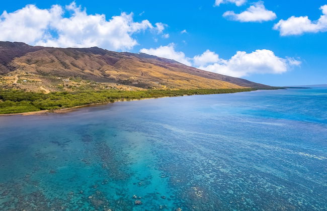 Vacasa at Hotel Molokai - Foto 36