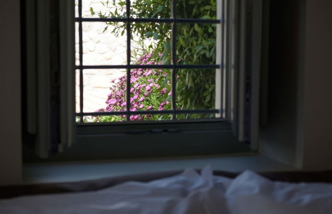 Traditional Guest House Grandma Vitsas - Foto 6