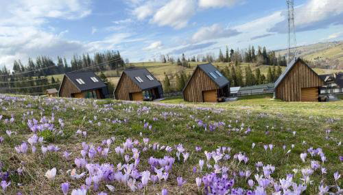 Bystre DOMKI - Foto 2