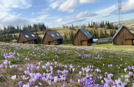 Bystre DOMKI - Foto 2