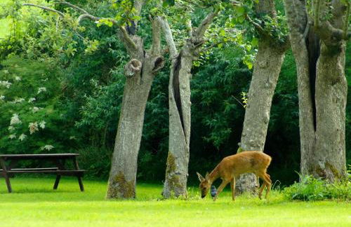 1 Bed in Wedmore oc-51338 - Foto 12