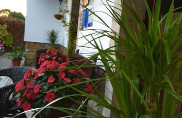 La Casona de Benito - Foto 65