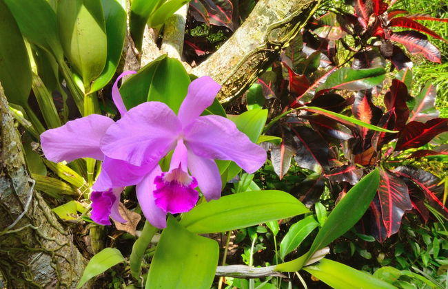 Jendela di Bali Villa - Foto 60