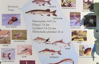 Urokliwy domek blisko jeziora Żarnowieckiego, Nadole - Foto 16