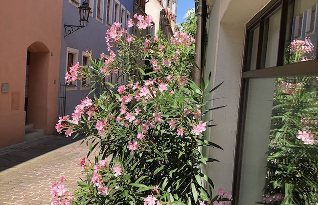 Stadthaus Rosengasse - Foto 1