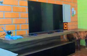 Casa Campo - Foto 48