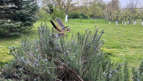 Podroom LauMarYvo - Foto 5