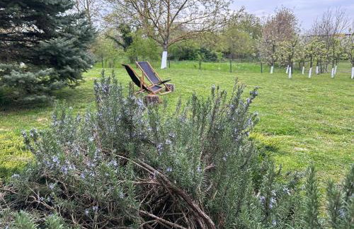 Podroom LauMarYvo - Foto 5