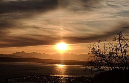 Walker's Paradise 1 with 2 free parking lots - Foto 44