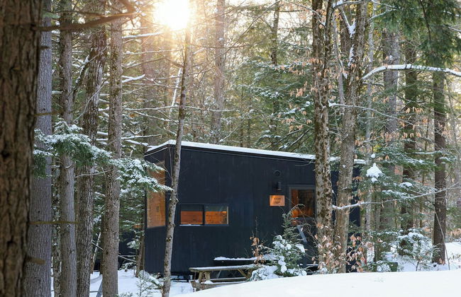 Postcard Cabins Barber Creek, Outdoor Collection by Marriott Bonvoy - Foto 1