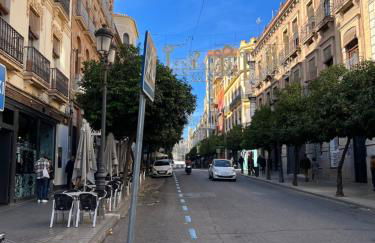 BALCÓN DE CLAUDIO MARCELO - Foto 4