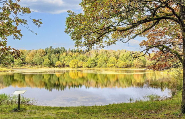 4 Person Holiday Home in Aars - Foto 24