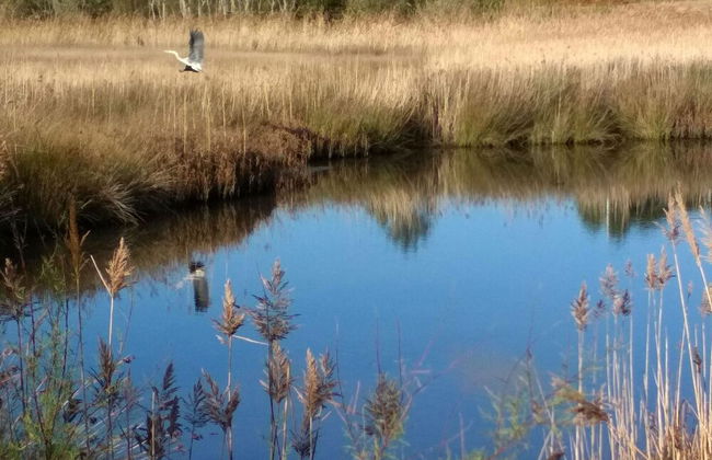 Casa de Verdes - In Cabana de Bergantinos - Photo 103