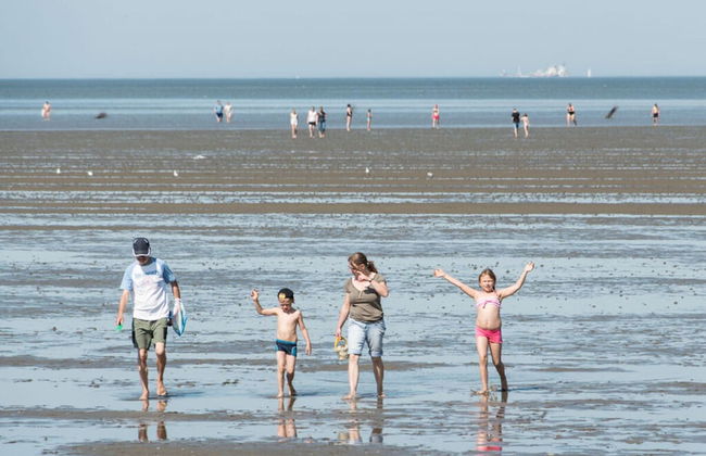 Apartment 2 Holiday Home Speckert - Foto 38