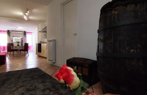 La Casa Del Vino - Marino Centro - Foto 14