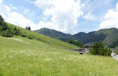 Ty Menez 2 - Chalet sur les pistes - Foto 15