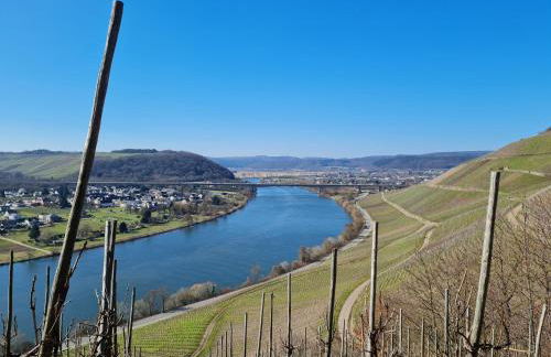 Familie Jonas - Foto 40