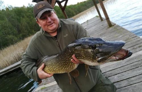 kaszubski domek - Foto 16