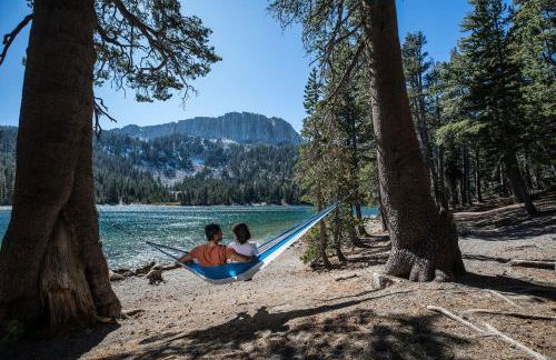 Chateau De Montagne #1 Condo - Foto 47