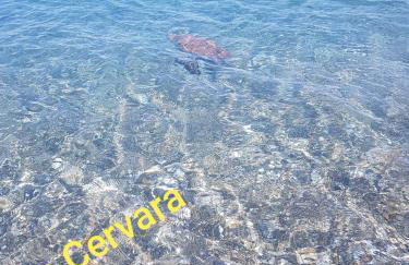 Una finestra sul glicine - Foto 20