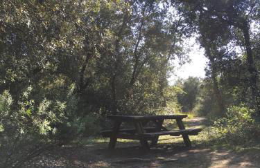 Maison Vert d'Eau - Foto 22