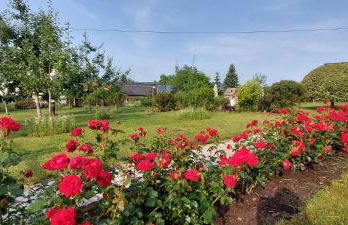 HERZstück Erzgebirge - Foto 22