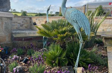 Caesars Lodge - Photo 59