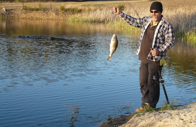 Winmark Wines - Foto 30