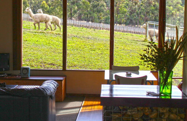 Valley Farm Vineyard Cottages - Foto 4