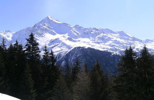 Hotel Meublè Adler - Rooms & Mountain Apartments - Foto 44